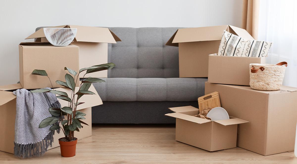 Lenoir Moving Company